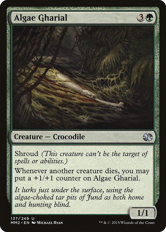 Algae Gharial (MM2-137)