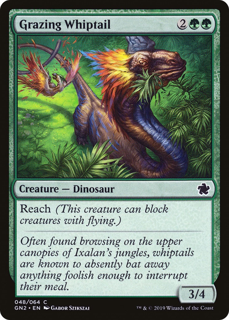 Grazing Whiptail (GN2-048)