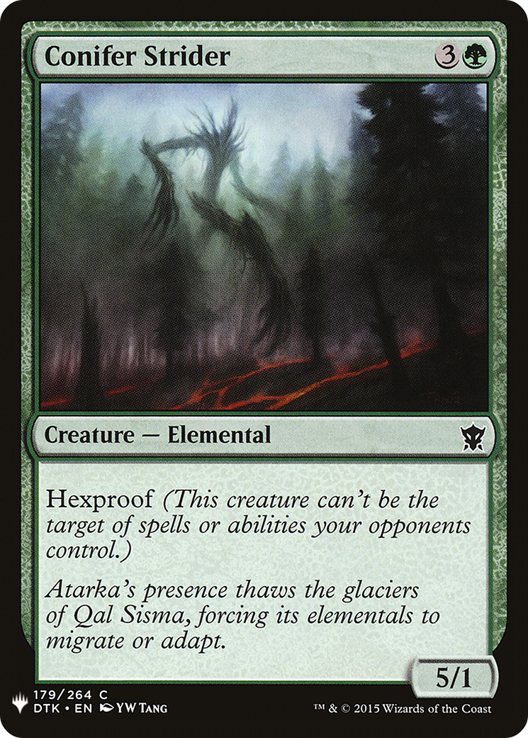 Conifer Strider (LIST-DTK-179)