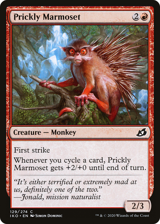 Prickly Marmoset (IKO-129)