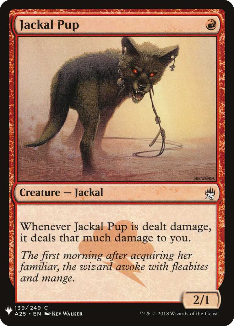 Jackal Pup (LIST-A25-139)