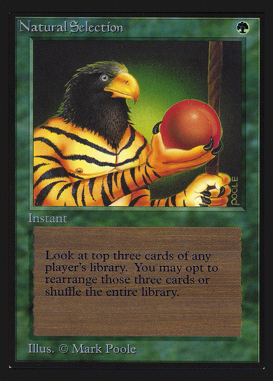 Natural Selection (CED-213)