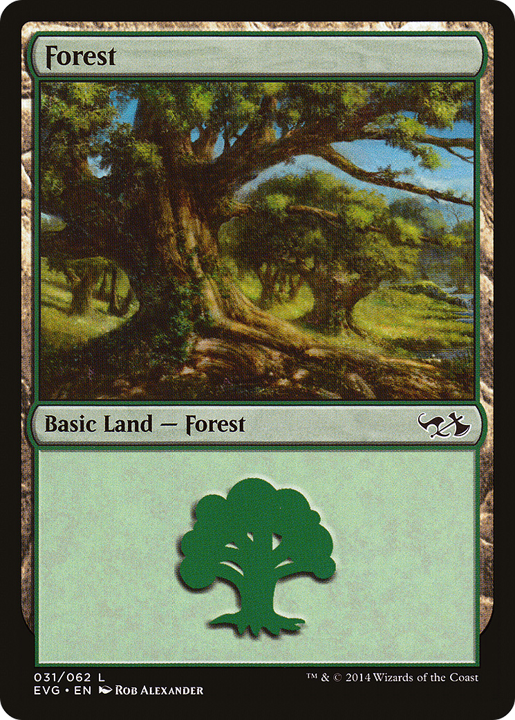 Forest (DD3-031)