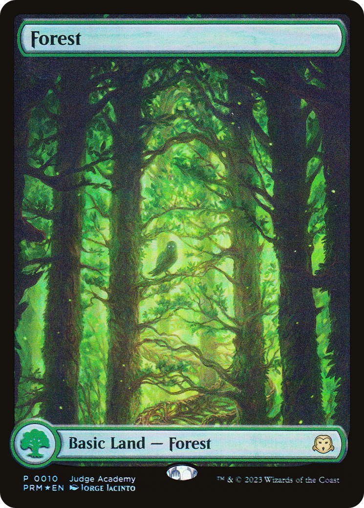 Forest (JDG-010) (Full Art) (Foil)