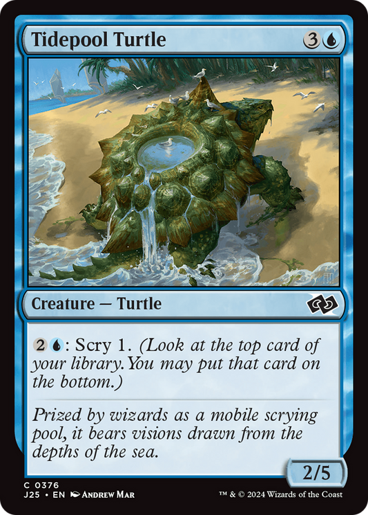 Tidepool Turtle (J25-376)