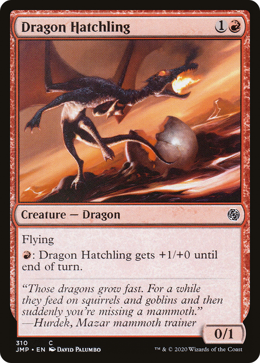 Dragon Hatchling (JMP-310)