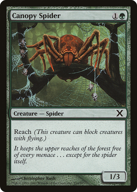 Canopy Spider (10E-254)