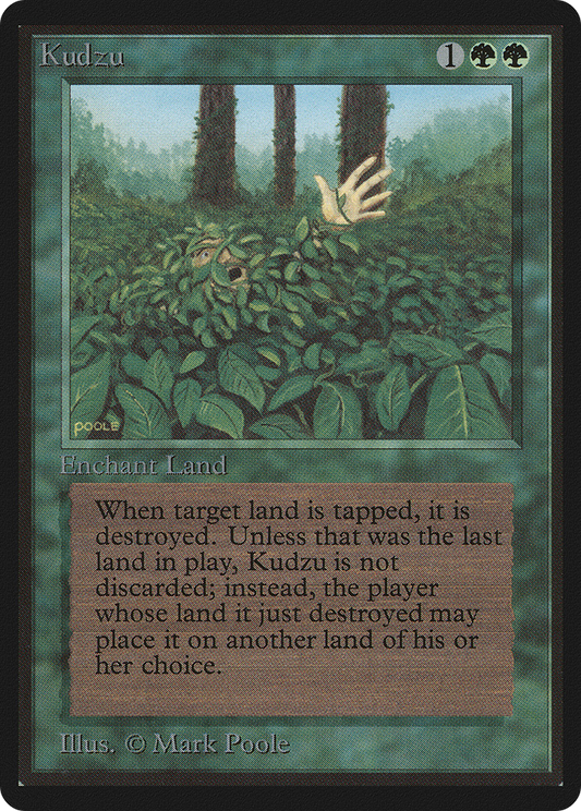 Kudzu (LEB-205)
