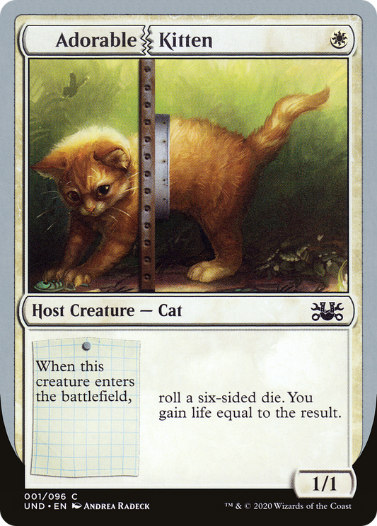 Adorable Kitten (UND-001)