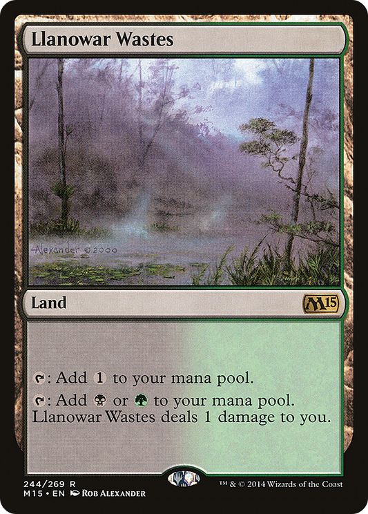 Llanowar Wastes (M15-244) (Foil)