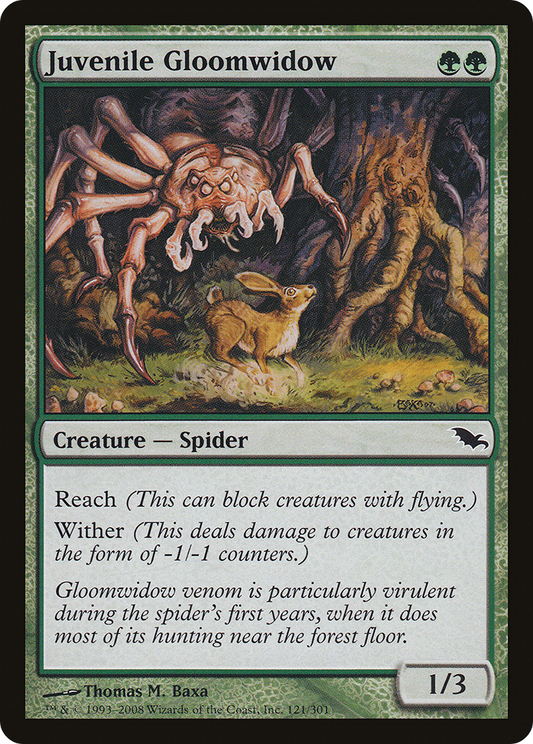 Juvenile Gloomwidow (SHM-121)