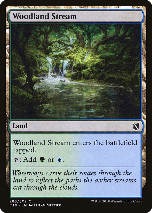 Woodland Stream (C19-286)
