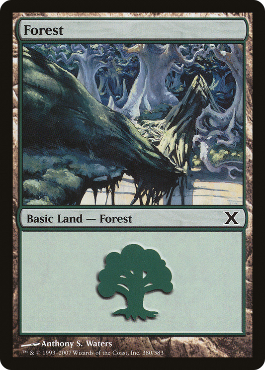 Forest (10E-380)