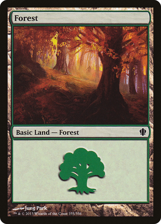 Forest (C13-355)