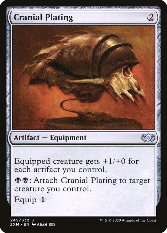 Cranial Plating (2XM-245)
