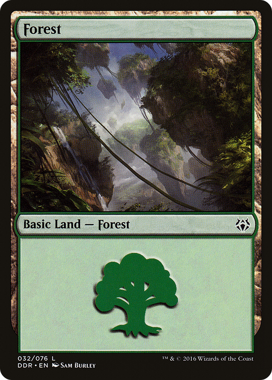 Forest (DDR-032)