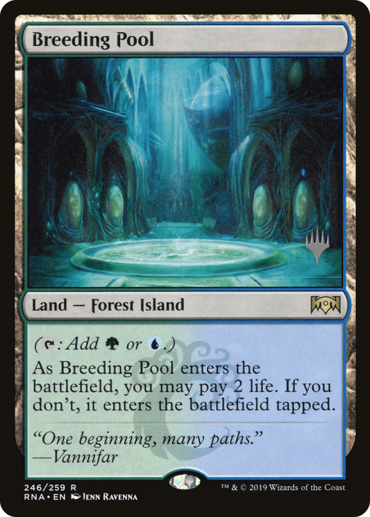 Breeding Pool (PPELD-246P)