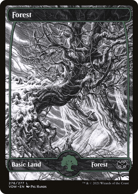 Forest (VOW-276) (Showcase) (Foil)