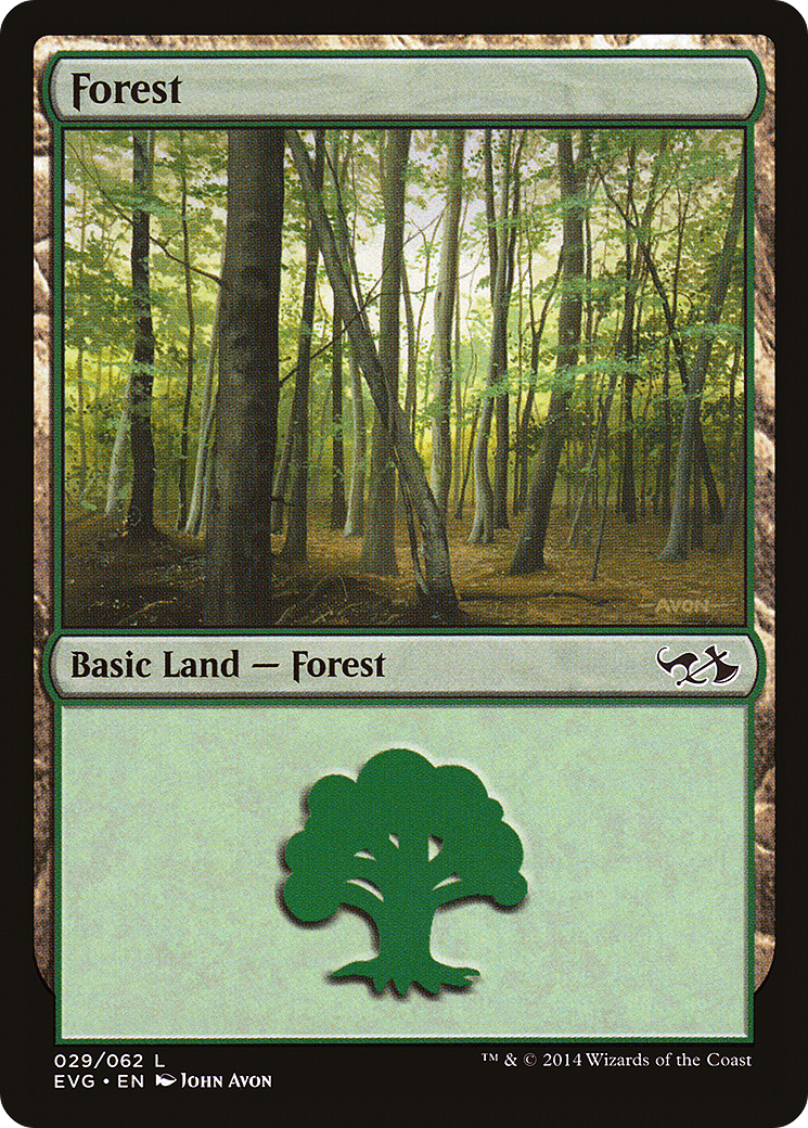 Forest (DD3-029)