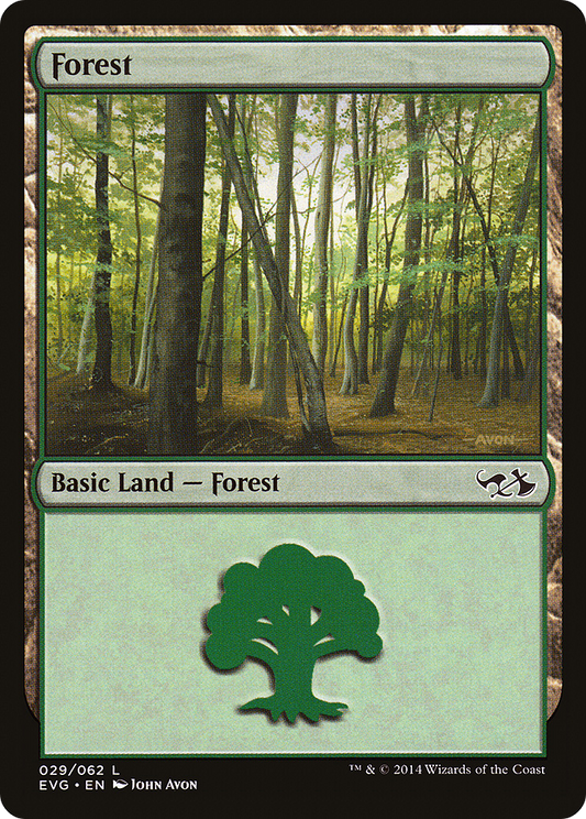 Forest (DD3-029)