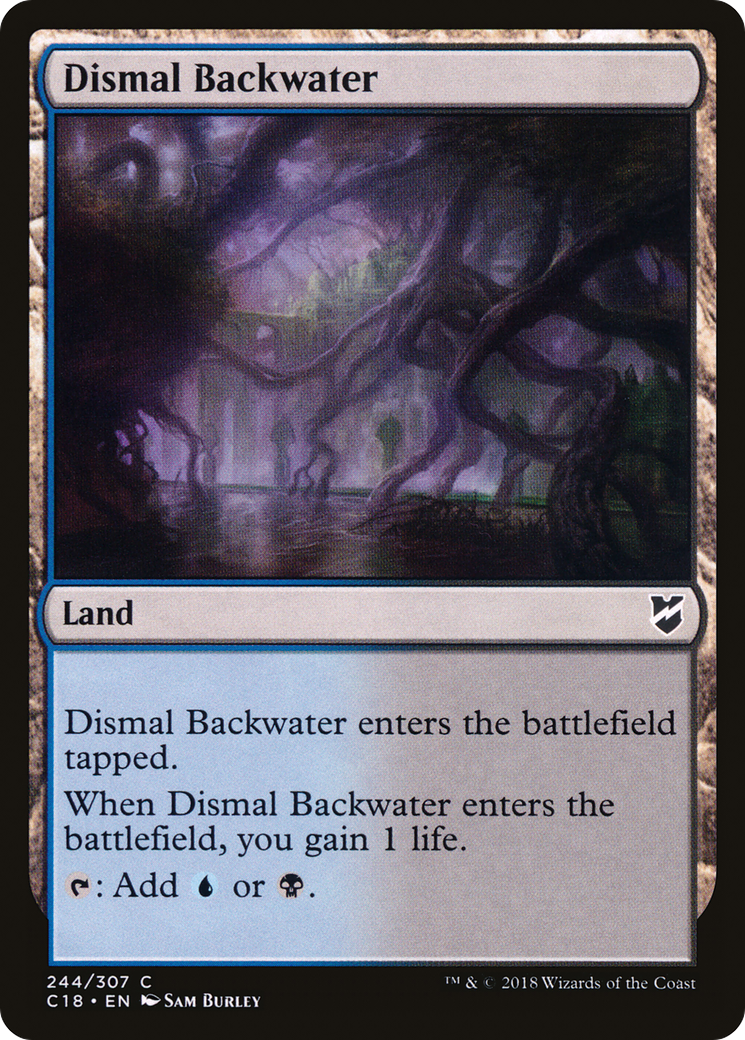 Dismal Backwater (C18-244)