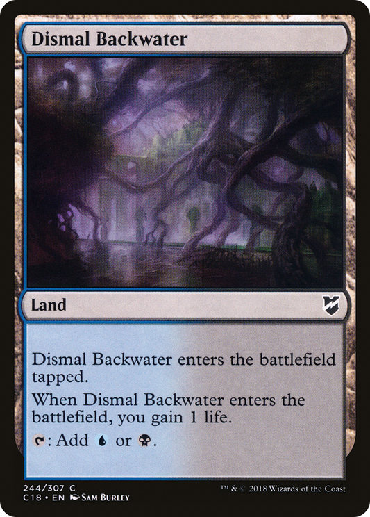 Dismal Backwater (C18-244)