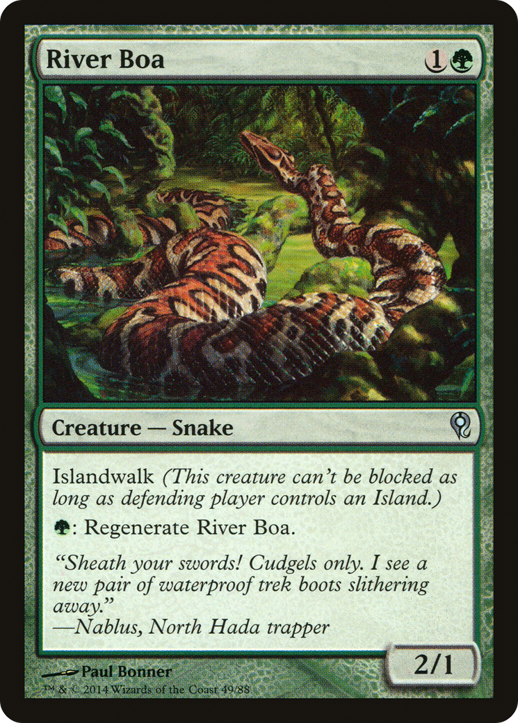 River Boa (DDM-049)