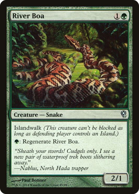 River Boa (DDM-049)