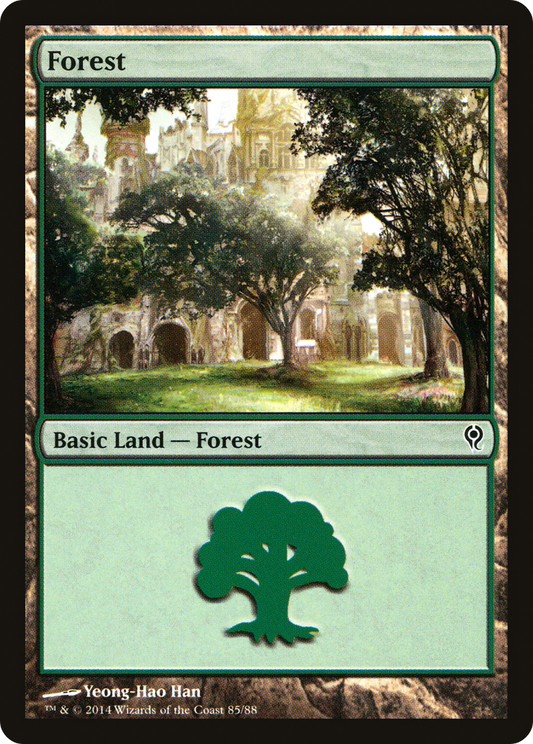 Forest (DDM-085)