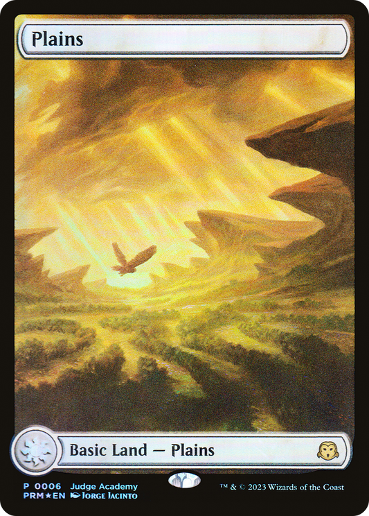Plains (JDG-006) (Full Art) (Foil)