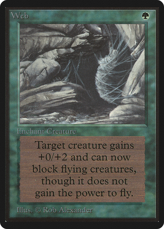 Web (LEB-229)