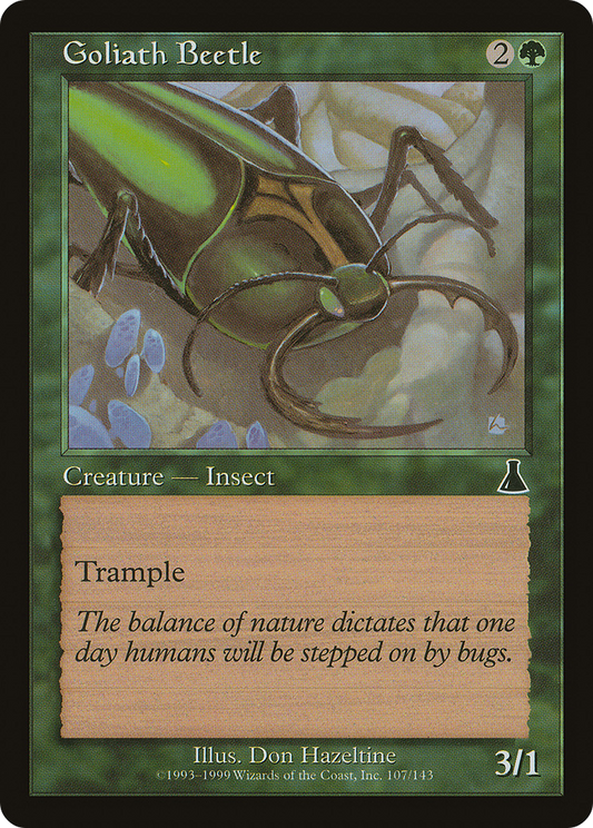 Goliath Beetle (UDS-107)