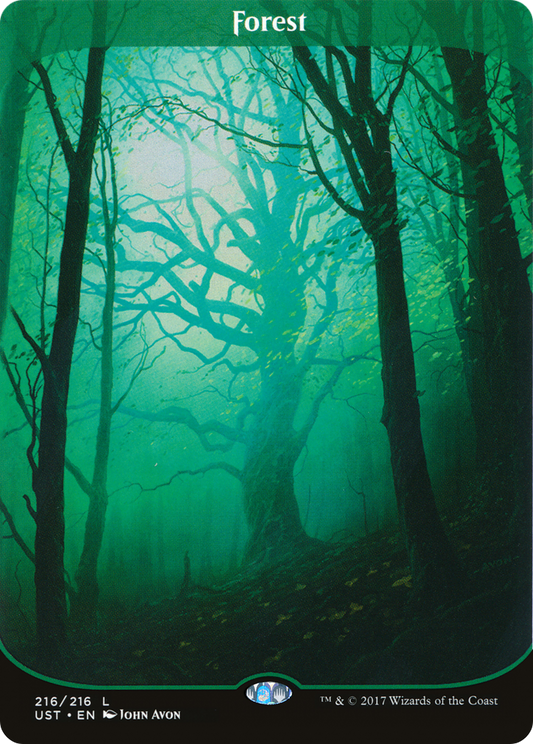 Forest (UST-216) (Borderless)