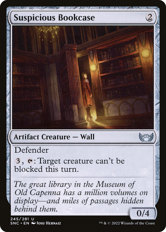 Suspicious Bookcase (SNC-245)