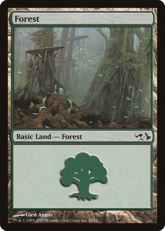 Forest (EVG-028)