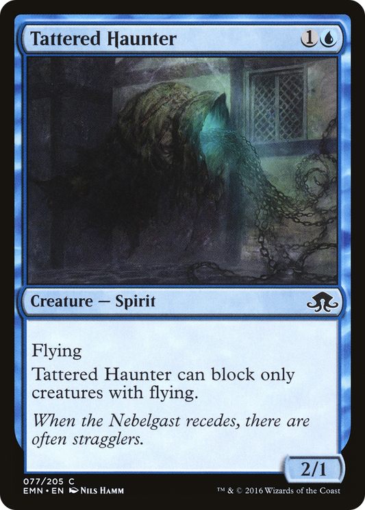 Tattered Haunter (EMN-077) (Foil)