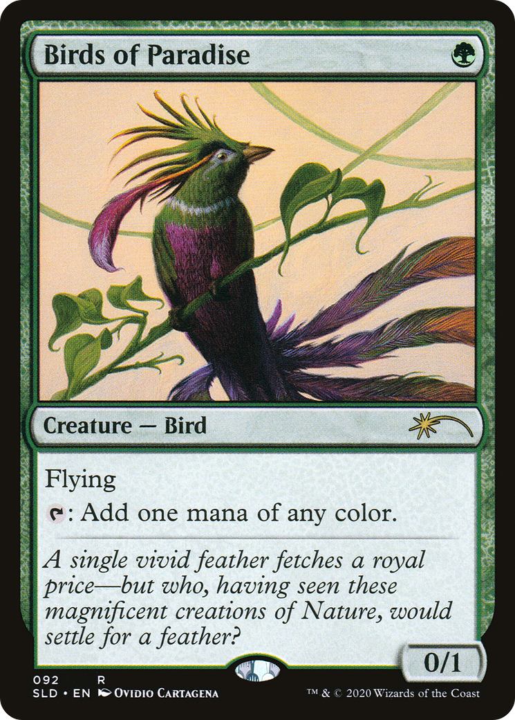Birds of Paradise (SLD-092)