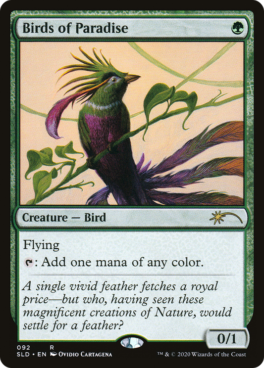 Birds of Paradise (SLD-092)