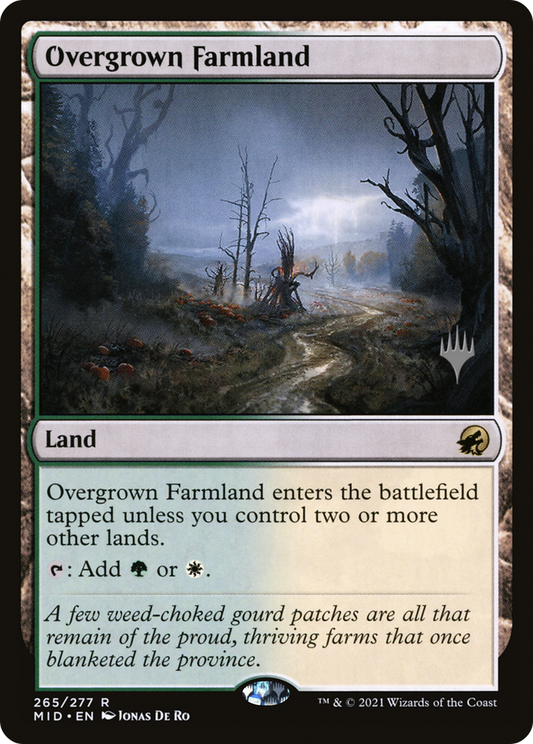 Overgrown Farmland (PPMID-265P)